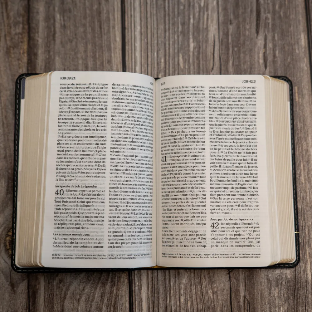 Bible Segond 21 compacte (Premium Style) - couverture souple, cuir anthracite, avec tranches dorées