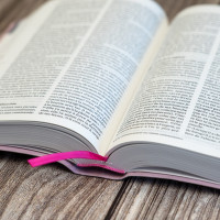 Bible Segond 21 compacte (Premium Style) - couverture souple, toile rose avec paillettes et onglets