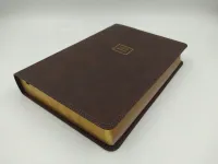 Espagnol, Bible Reina Valera 1960, gros caractères - relié similicuir brun, tranche or,