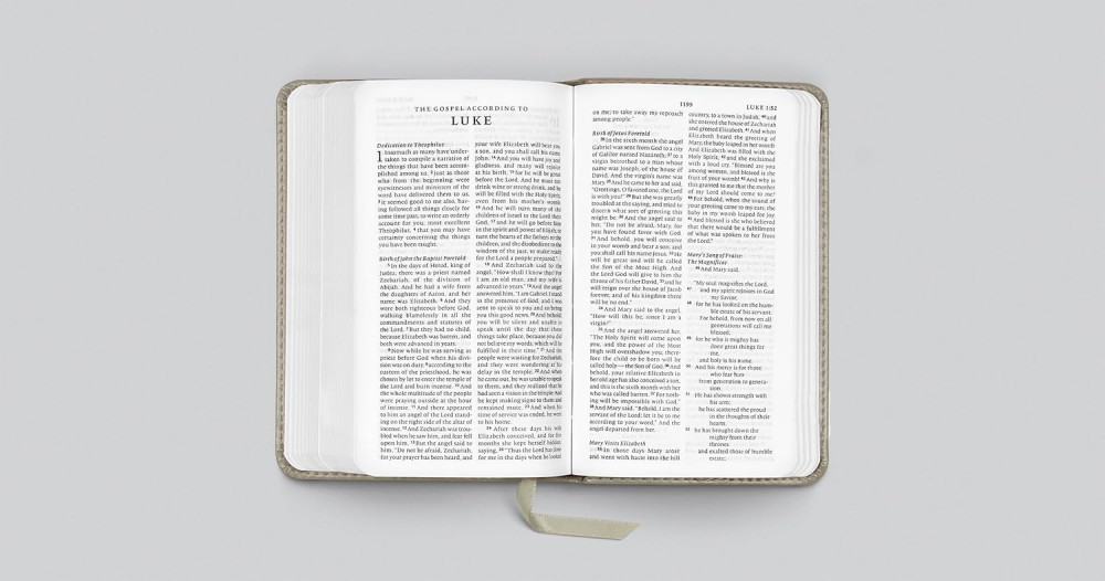 Anglais, Bible English Standard Version, petit format - relié similicuir gris, motif branche dorée