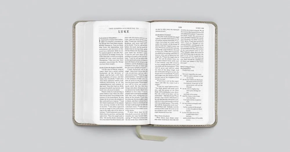 Anglais, Bible English Standard Version, petit format - relié similicuir gris, motif branche dorée