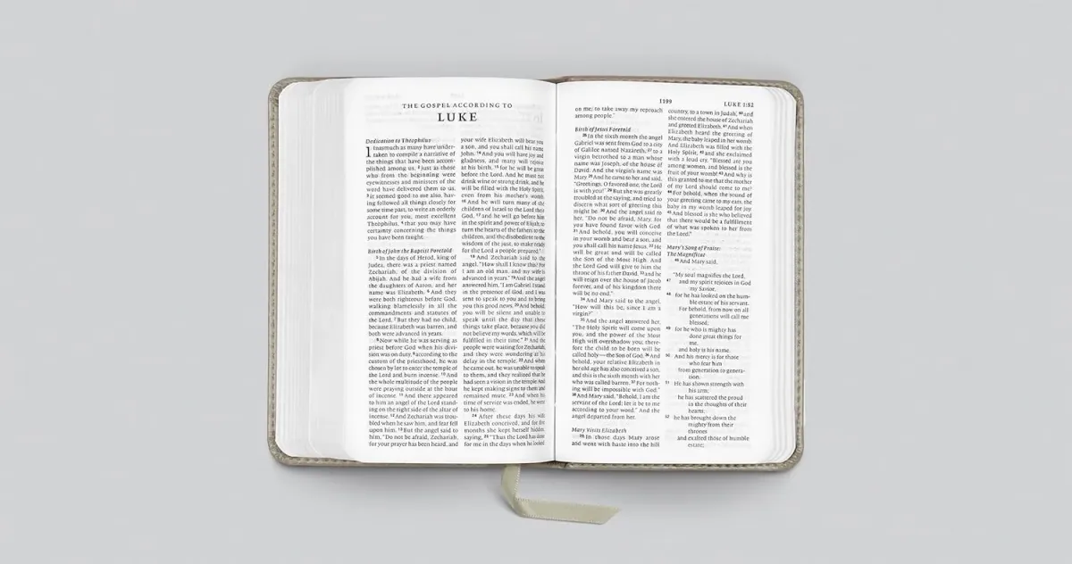 Anglais, Bible English Standard Version, petit format - relié similicuir gris, motif branche dorée