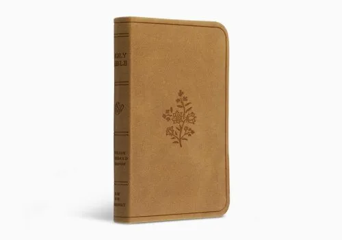 Anglais, Nouveau Testament, Psaumes et Proverbes English Standard Version, petit format - relié...
