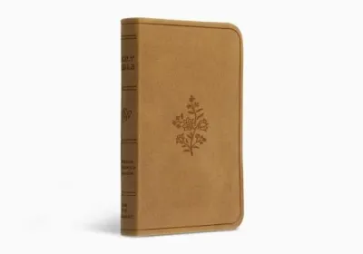Anglais, Nouveau Testament, Psaumes et Proverbes English Standard Version, petit format - relié...