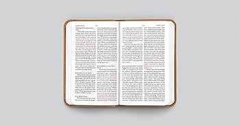 Anglais, Nouveau Testament, Psaumes et Proverbes English Standard Version, petit format - relié...