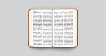 Anglais, Nouveau Testament, Psaumes et Proverbes English Standard Version, petit format - relié...