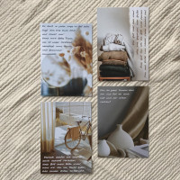 Kartenset VERTRAUEN - 12er Set