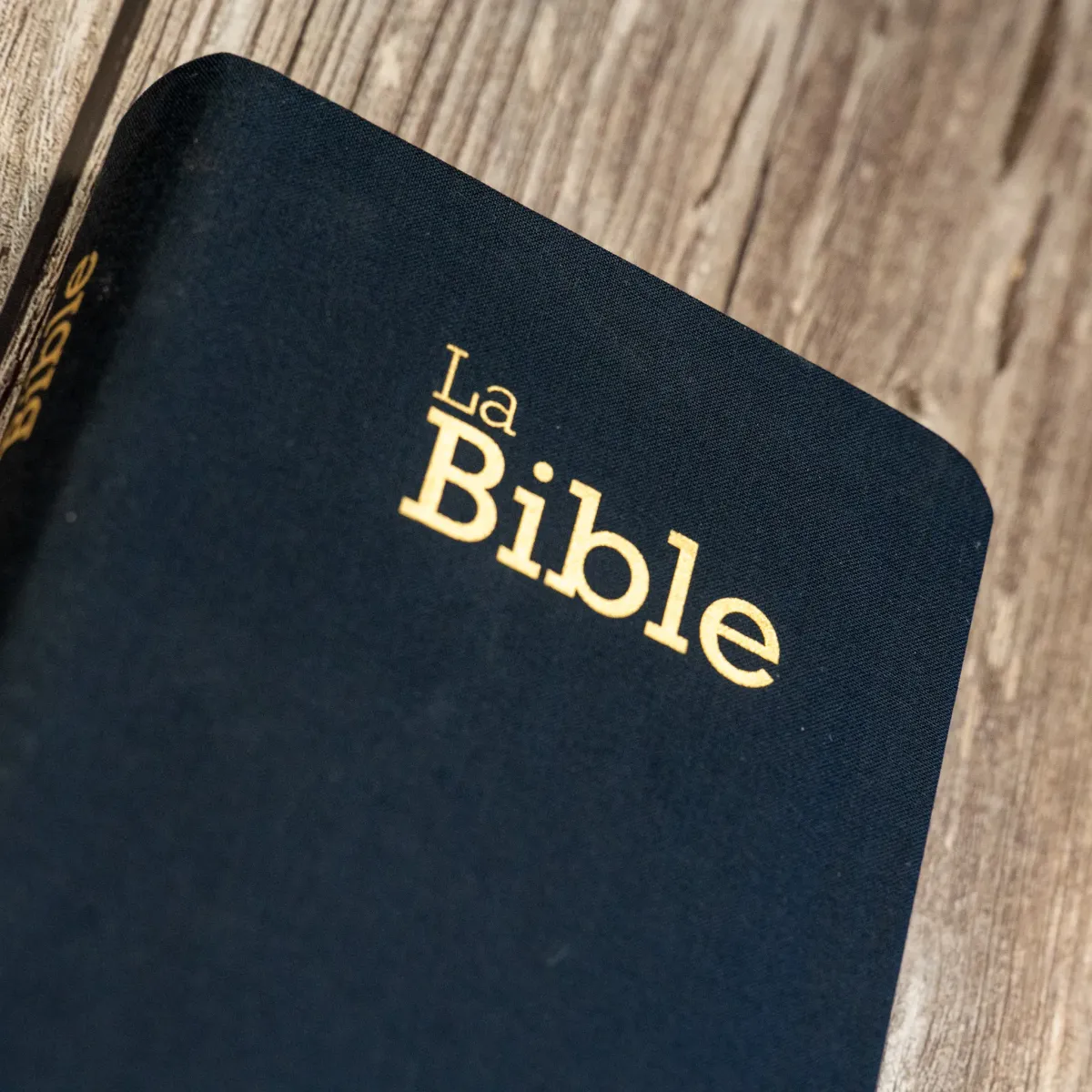 Bible Segond 21 compacte (Premium Style) - couverture souple toile bleu marine