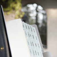 Bibel Griffregister Opal