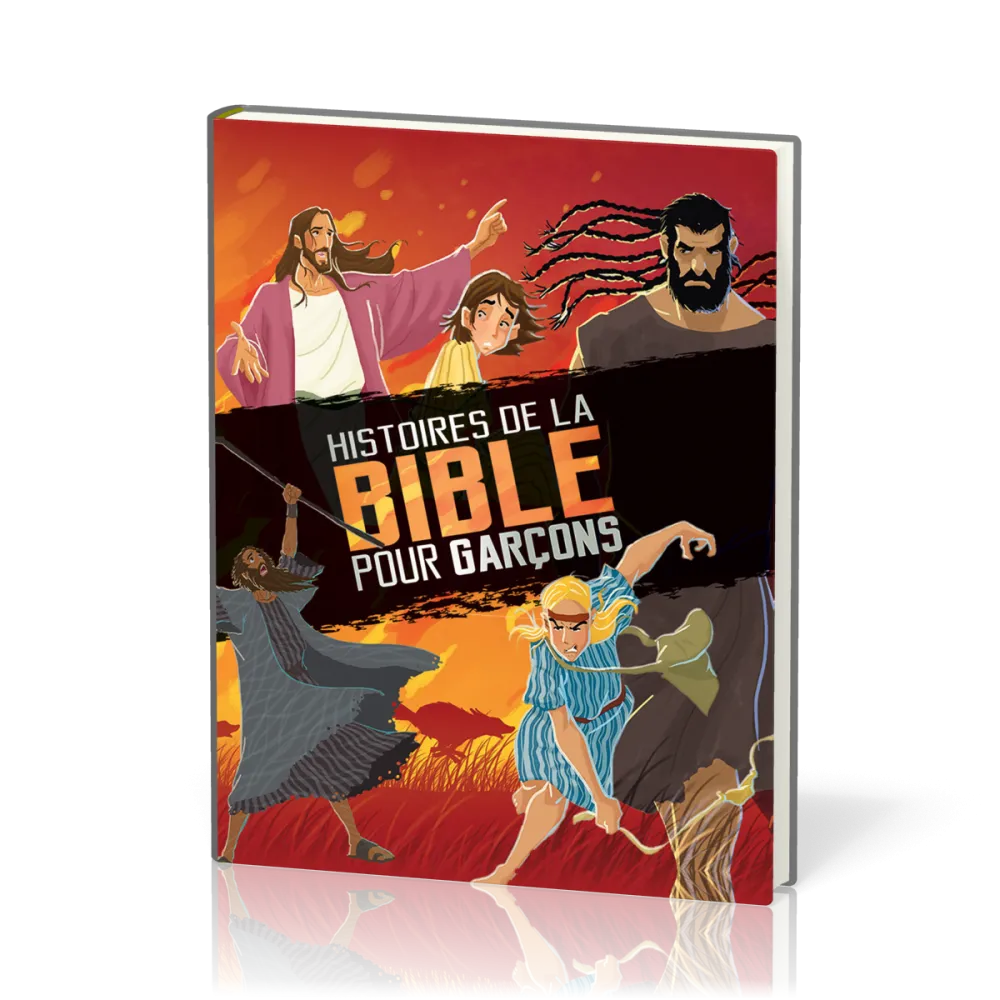 Histoires de la Bible pour garçons
