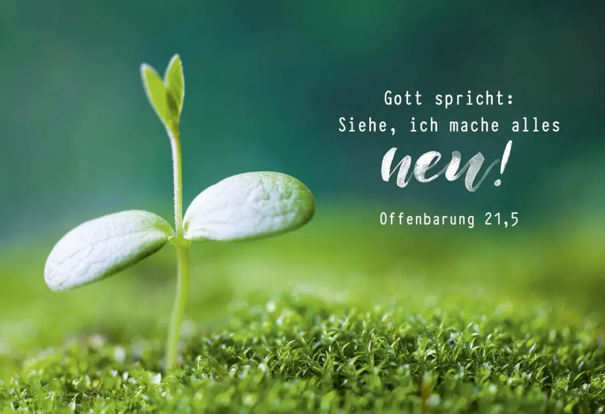 Poster A3 JL 2026 Motiv Spross - Offenbarung 21,5