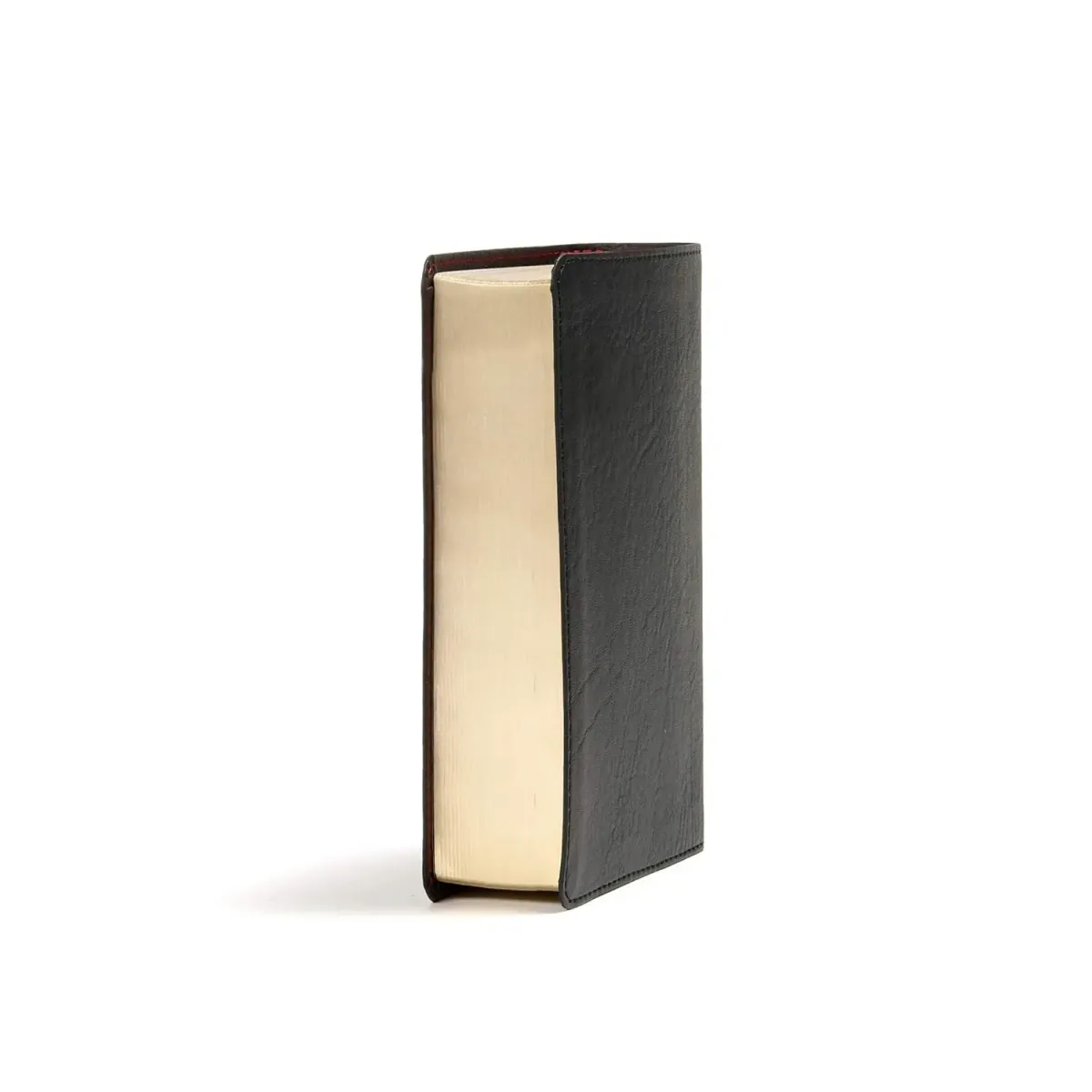 Anglais, Bible de référence, King James Version, compact - reliée similicuir noir, tranche or,...