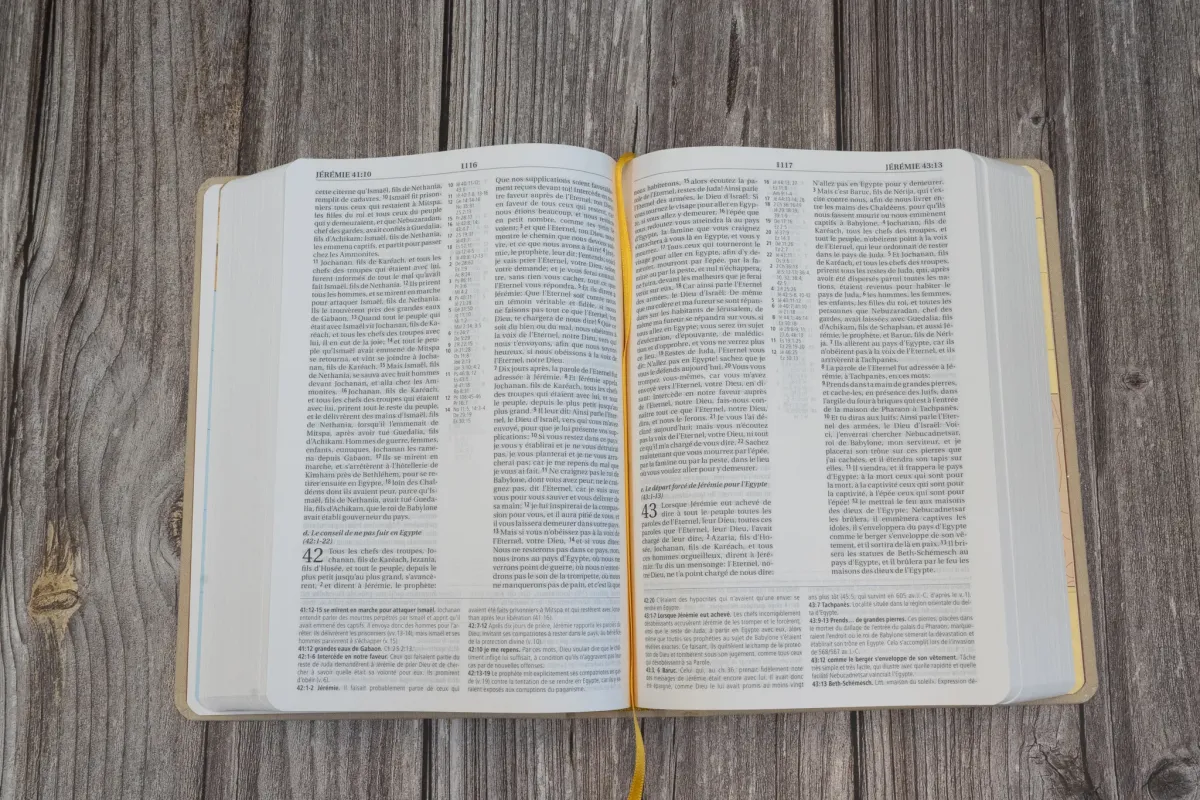 Bible d'étude Segond NEG MacArthur - couverture semi-rigide, toile beige