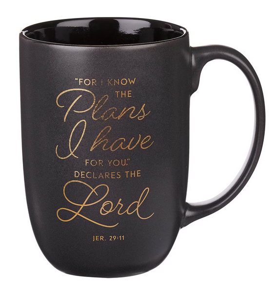 Tasse - Ich kenne die Pläne - grau, 444ml