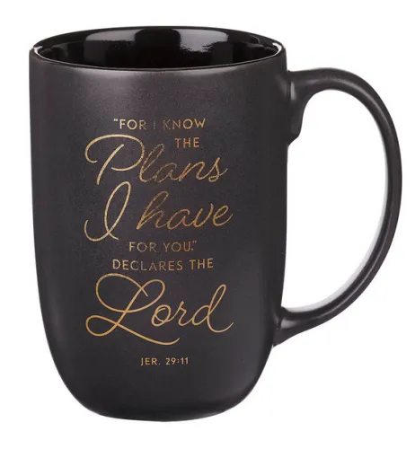 Tasse - Ich kenne die Pläne - grau, 444ml