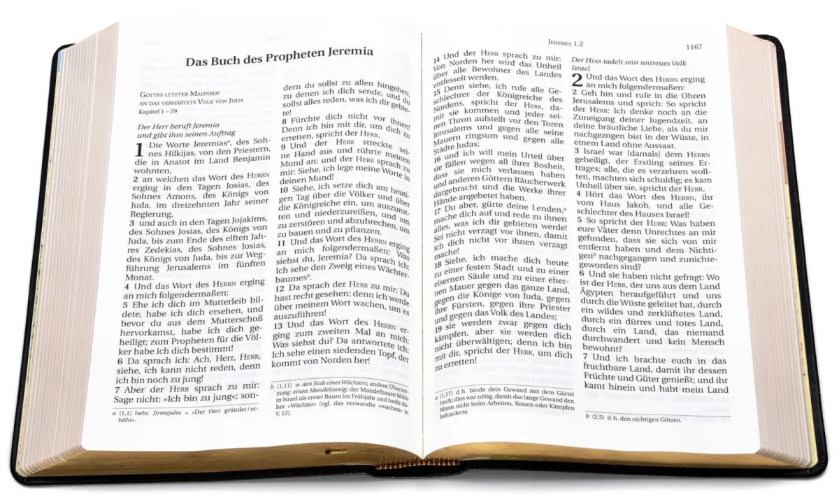 Allemand, Bible Schlachter 2000, grandes lettres, cuir, tranche or, noire, reliure cousue