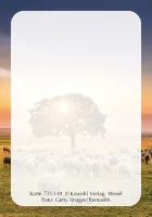 Jesus Worte - Karten-Box (55 Karten)