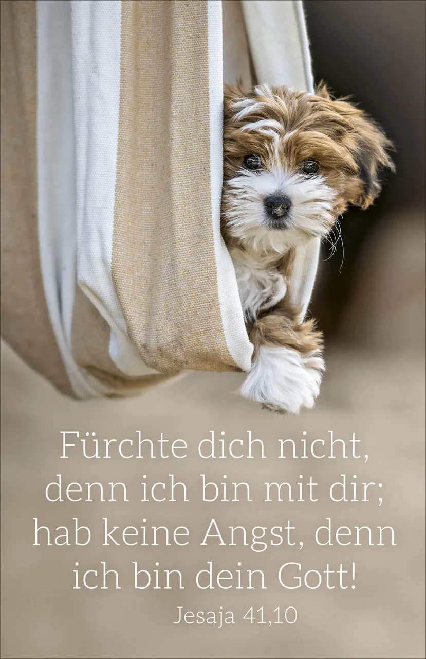 Poster A2 Jahreslosung 2027 Hund - Jesaja 41,10