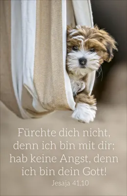Poster A2 Jahreslosung 2027 Hund - Jesaja 41,10