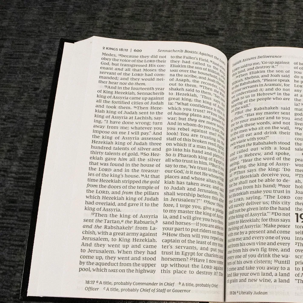 Anglais, Bible, New King James Version, grands caractères, bleue