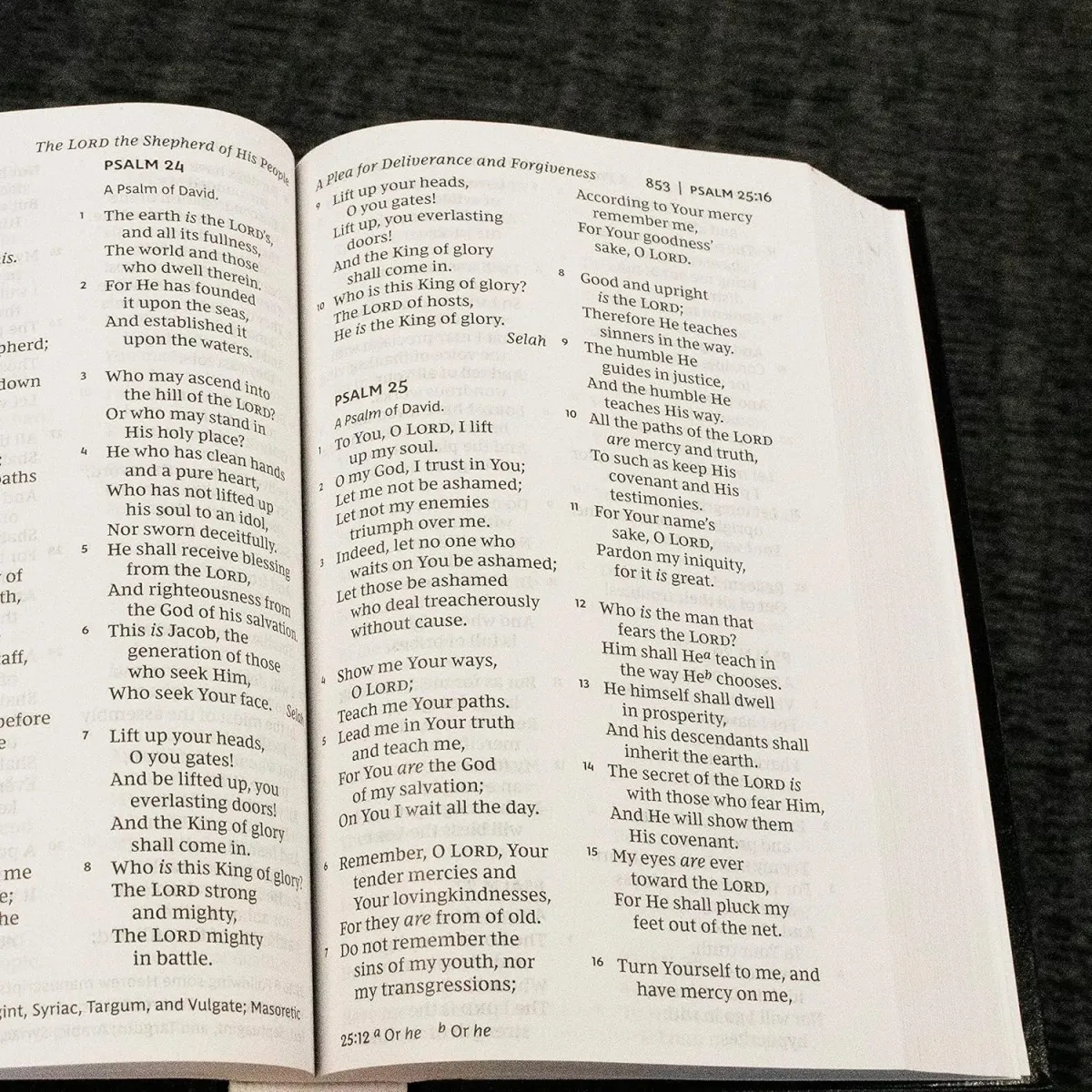 Anglais, Bible, New King James Version, grands caractères, bleue