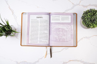 Spanisch, Studienbibel Reina Valera 1960, Grossdruck mit Bilder Israels - gebunden Kunstleder braun