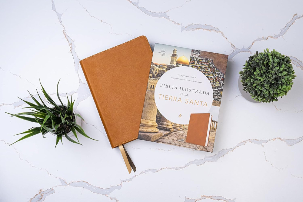 Spanisch, Studienbibel Reina Valera 1960, Grossdruck mit Bilder Israels - gebunden Kunstleder braun