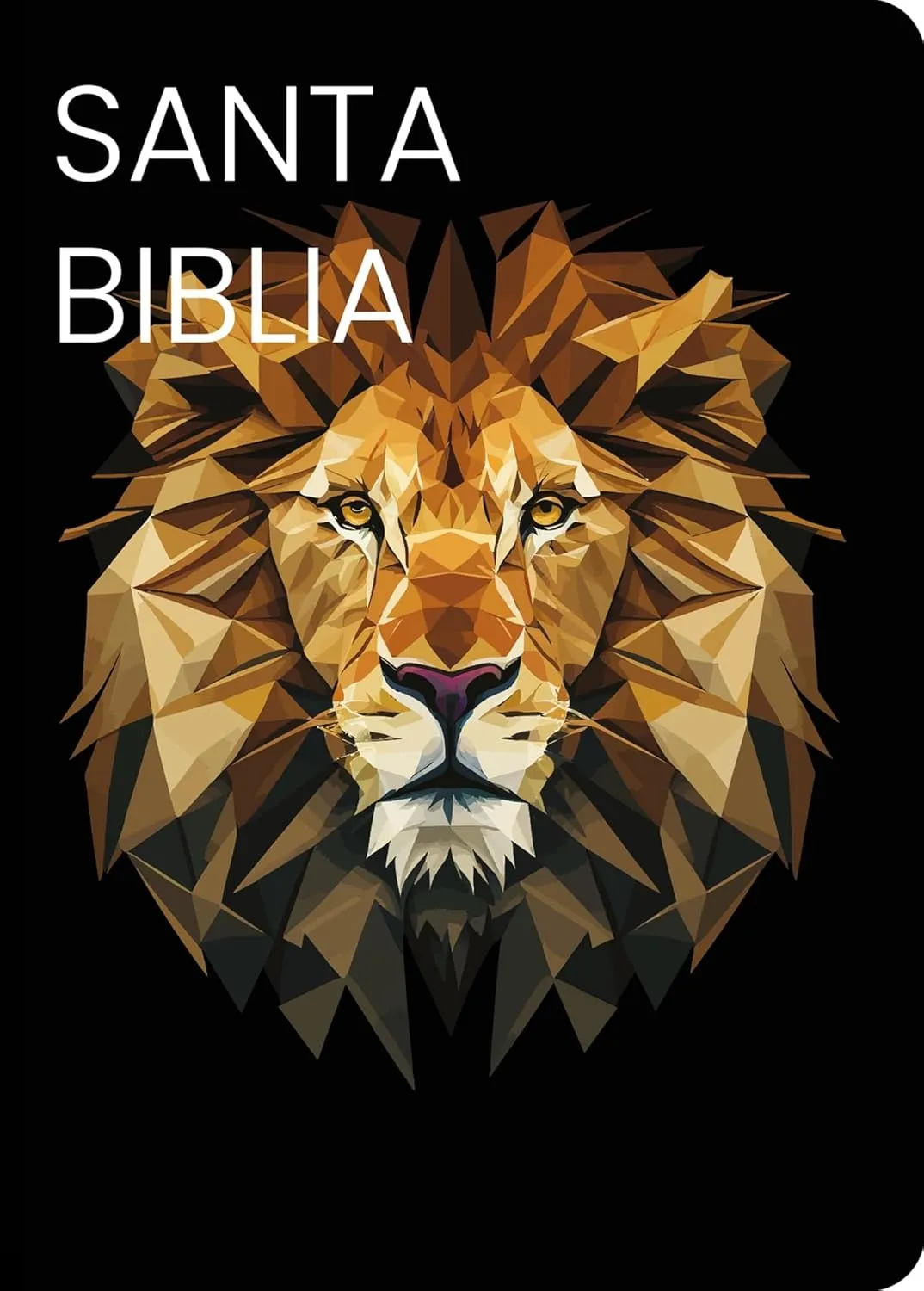 Espagnol, Bible, Reina Valera 1960, compacte, frands caractères, similicuir noir et or, motif...