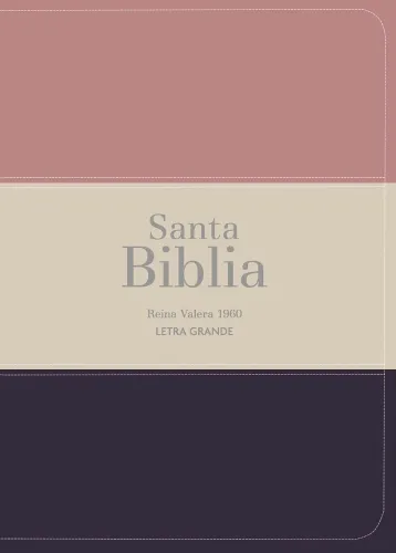 Espagnol, Bible, Reina Valera 1960, compacte, grands caractères, similicuir melon, beige et bleu...