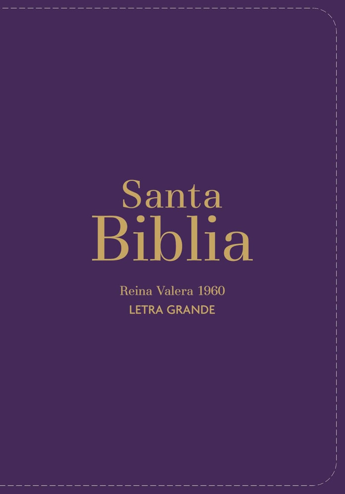 Espagnol, Bible, Reina Valera 1960, compacte, grands caractères, similicuir violet - Biblia Rvr...