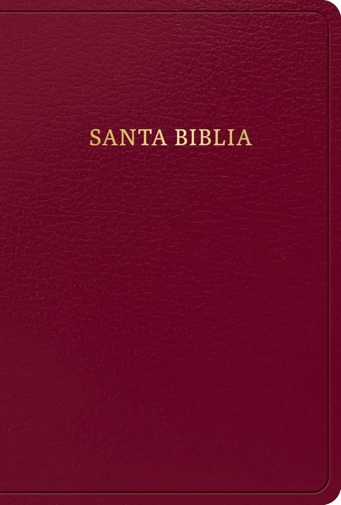 Espagnol, Bible, Reina Valera 1960, moyen format, gros caractèeres, similicuir bordeaux avec...