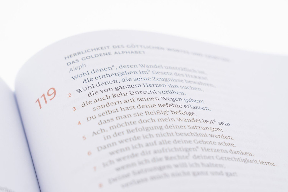 Bibel Menge 2020, Schreibrand - 4 Bände im Schuber (3 AT-Bände und 1 NT-Band) - Journaling Edition