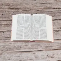 Bible Segond 21 compacte - Couverture rigide skivertex rose guimauve