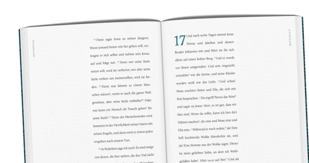 Die gute Botschaft nach Matthäus - EsraBibel - Serie: EsraBibel Logbuch