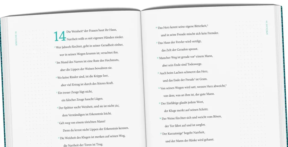 Das Buch der Sprüche - Serie: EsraBibel Logbuch