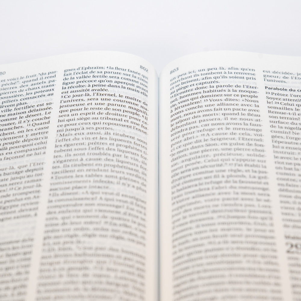 Bible Segond 21 compacte (Premium Style) - couverture souple, cuir anthracite, avec tranches dorées