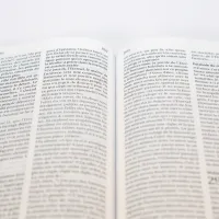 Bible Segond 21 compacte (Premium Style) - couverture souple, cuir anthracite, avec tranches dorées