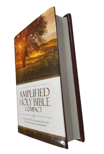 Anglais, Bible Amplified, compact, rigide, brune avec jaquette illustrée