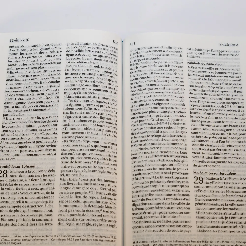 Bible Segond 21 compacte (Premium Style) - couverture souple toilée couleur rose bonbon, avec...