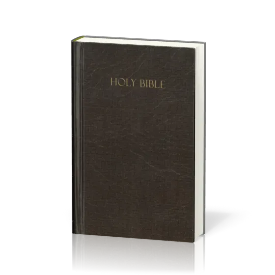 Anglais, Bible Amplified, compact, rigide, brune avec jaquette illustrée