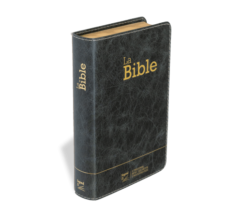 Bible Segond 21 compacte (Premium Style) - couverture souple, cuir anthracite, avec tranches dorées