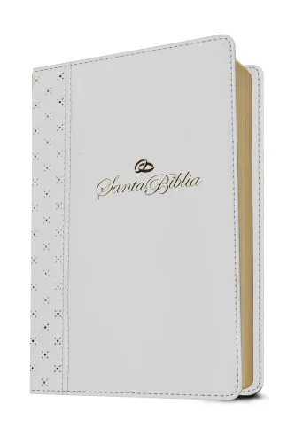 Espagnol, Bible, Nueva Traduccion Viviente, moyen format, grandes lettres, Filament Edition,...