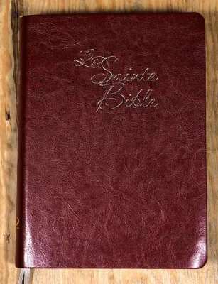 Bible Segond 1910, gros caractères, marron - couverture similicuir souple, tranche or, onglets