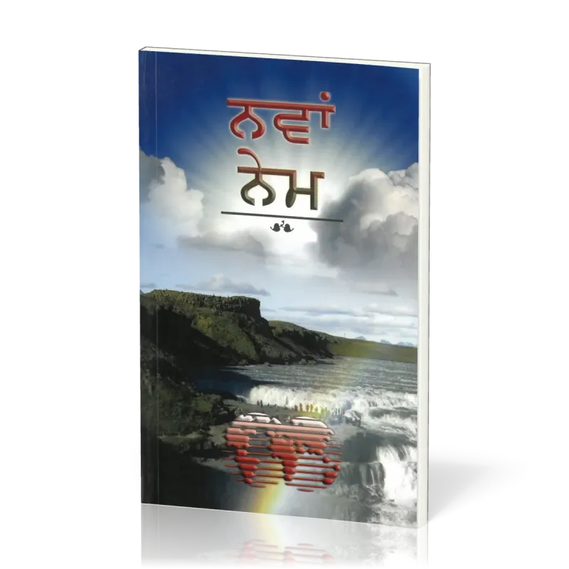 Punjabi, Nouveau Testament, Broché