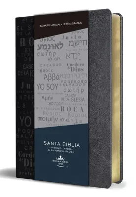 Espagnol, Bible Reina Valera 1960, moyen format, gros caractères, similicuir noir, motifs noms de...