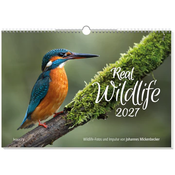 Real Wildlife - Fotos und Texte von Johannes Mickenbecker - Wandkalender
