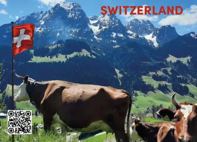 Swiss Magnet - Vache