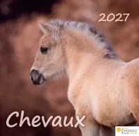 Chevaux, Merveilles de la création - Calendrier de table
