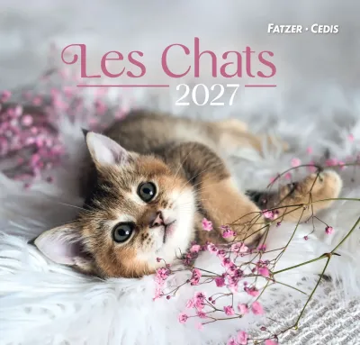 Chats, grand format (Les) - Grand calendrier avec 12 belles photos de chats et versets bibliques