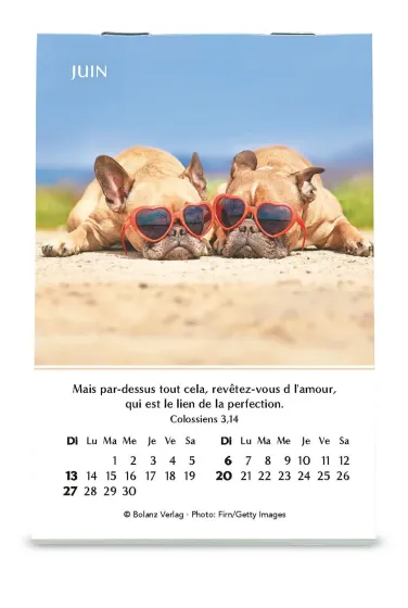 Joie - mini calendrier